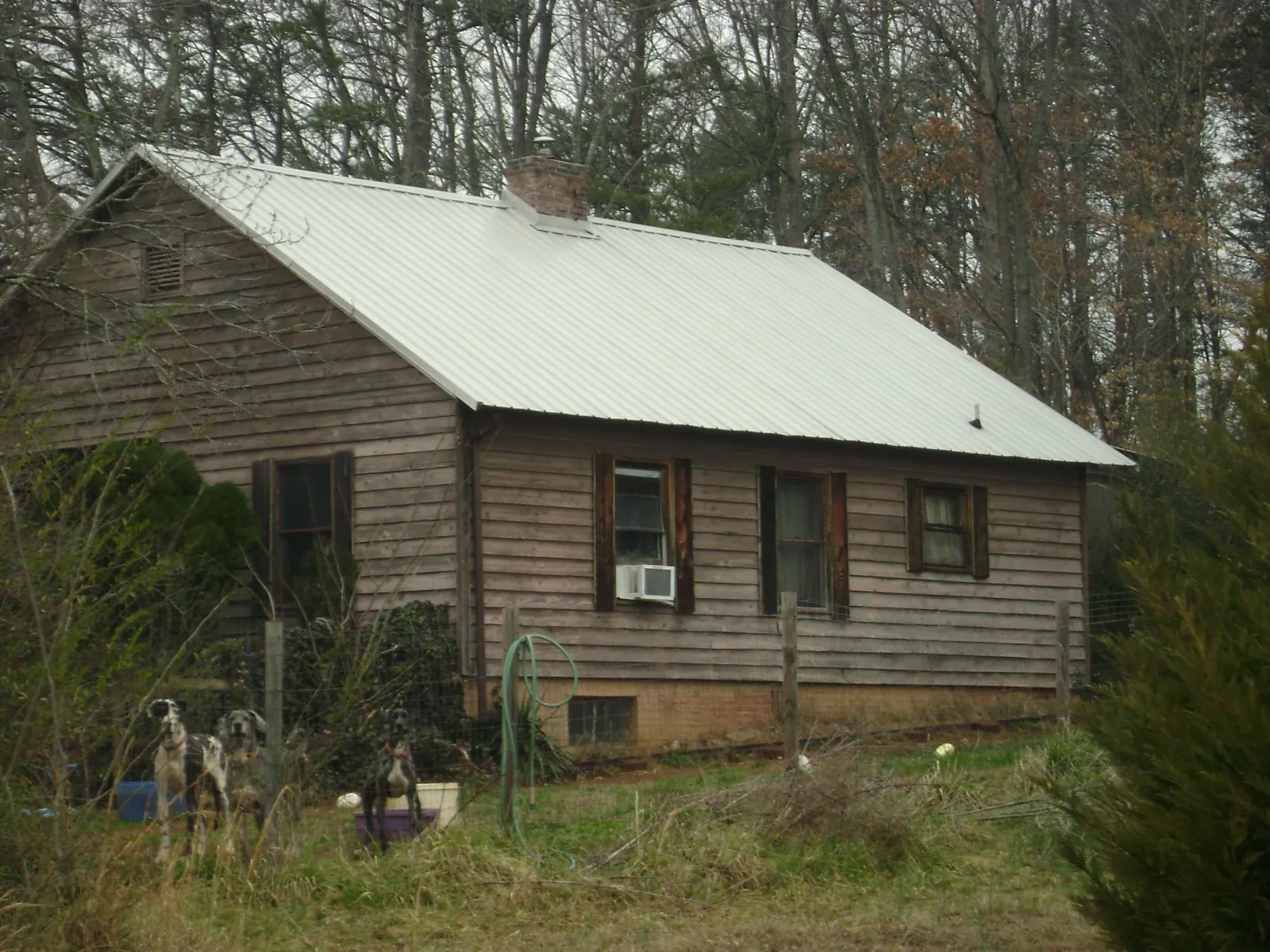 White metal roof on an old wood sided farmhouse, from a Asphalt Shingle Roof Repair job in Geff